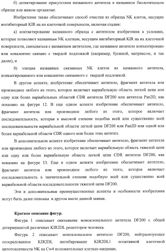 Композиции и способы регуляции клеточной активности nk (патент 2404993)