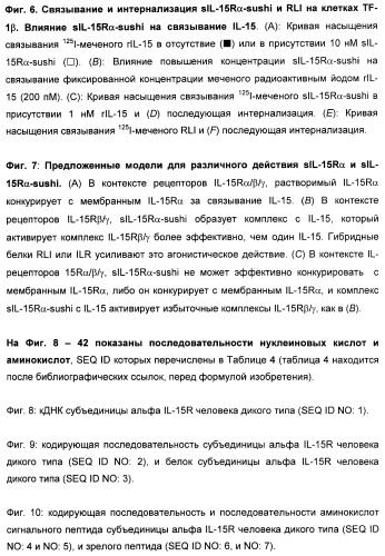 Соединение, предназначенное для стимуляции пути передачи сигнала через il-15rбета/гамма, с целью индуцировать и/или стимулировать активацию и/или пролиферацию il-15rбета/гамма-положительных клеток, таких как nk-и/или t-клетки, нуклеиновая кислота, кодирующая соединение, вектор экспрессии, клетка-хозяин, адъювант для иммунотерапевтической композиции, фармацевтическая композиция и лекарственное средство для лечения состояния или заболевания, при котором желательно повышение активности il-15, способ in vitro индукции и/или стимуляции пролиферации и/или активации il-15rбета/гамма-положительных клеток и способ получения in vitro активированных nk-и/или t-клеток (патент 2454463)