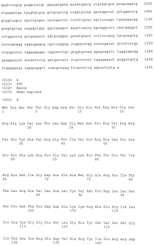 Клетка для получения гетеропротеинов и способ получения на ее основе (патент 2494148)