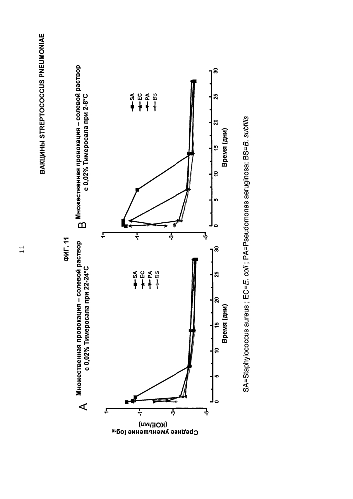 Вакцины streptococcus pneumoniae (патент 2607024)