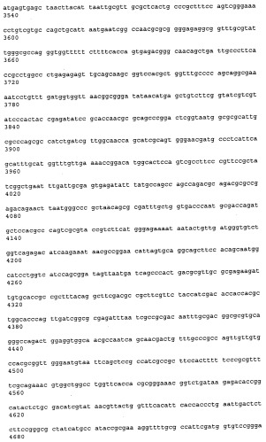 Антитела к рецептору конечных продуктов глубокого гликирования (rage) и их применения (патент 2518351)