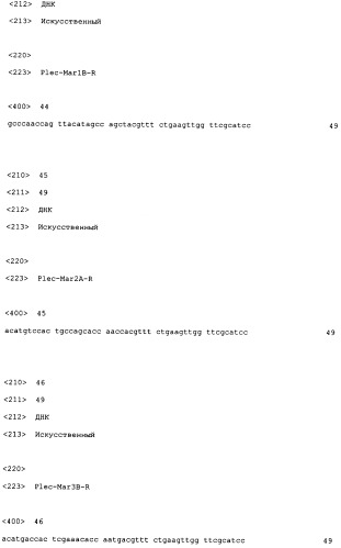 Полипептиды, обладающие противомикробным действием, и кодирующие их полинуклеотиды (патент 2403260)