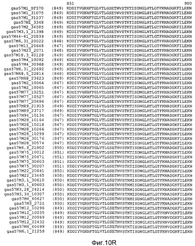 Мутантные антигены gas57 и антитела против gas57 (патент 2471497)