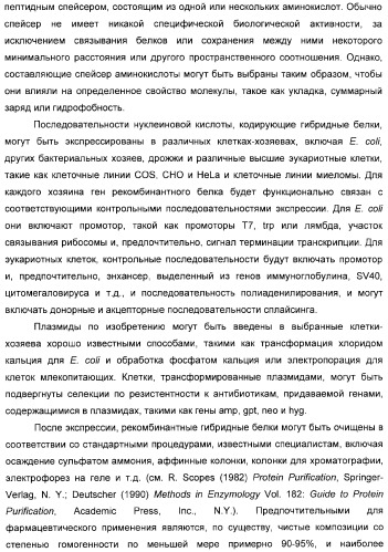 Использование уреазы для ингибирования роста раковых клеток (патент 2326691)