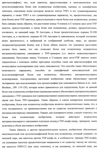 Улучшенные нанотела против фактора некроза опухоли-альфа (патент 2464276)