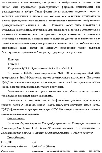 Биспецифические антитела к erb-b и их применение для лечения опухолей (патент 2349340)