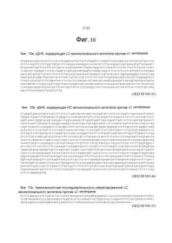 Пептид или пептидный комплекс, связывающийся с альфа2-интегрином, способы его получения и применения указанного вещества (патент 2588668)