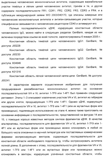 Антитела, связывающиеся с рецепторами kir2dl1,-2,-3 и не связывающиеся с рецептором kir2ds4, и их терапевтическое применение (патент 2410396)