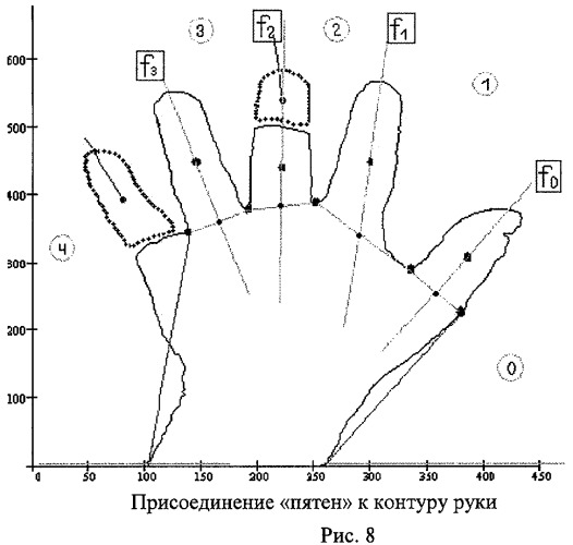 Способ и система для биометрической идентификации личности по изображению кисти руки (патент 2464634)