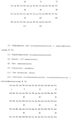 Антитела против белка, родственного паращитовидному гормону человека (патент 2322453)