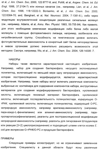 Селективная посттрансляционная модификация экспонируемых фагами полипептидов (патент 2459866)