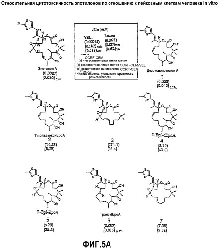 Синтез эпотилонов, их промежуточных продуктов, аналогов и их применения (патент 2311415)
