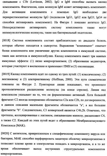 Иммуногенная композиция и способ разработки вакцины, основанной на участках связывания фактора н (патент 2364413)