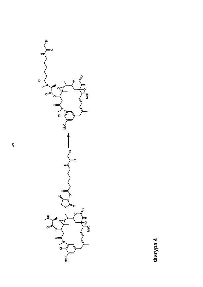 Улучшенные способы ацилирования майтанзинола (патент 2648992)