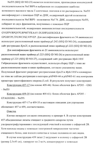 Вирусоподобные частицы, включающие гибридный белок белка оболочки бактериофага ар205 и антигенного полипептида (патент 2409667)