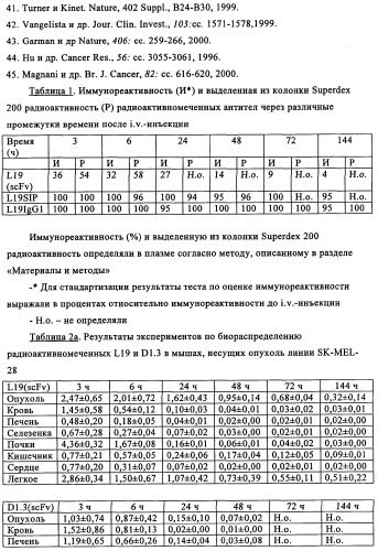 Избирательный направленный перенос в сосудистую сеть опухоли с использованием молекул антител (патент 2347787)