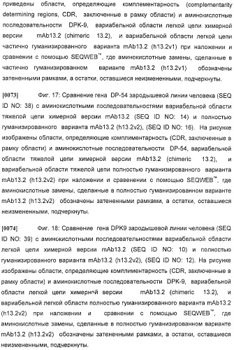 Антитела против интерлейкина-13 человека и их применение (патент 2427589)