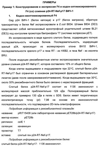 Вакцина для предупреждения и лечения вич-инфекции (патент 2441878)