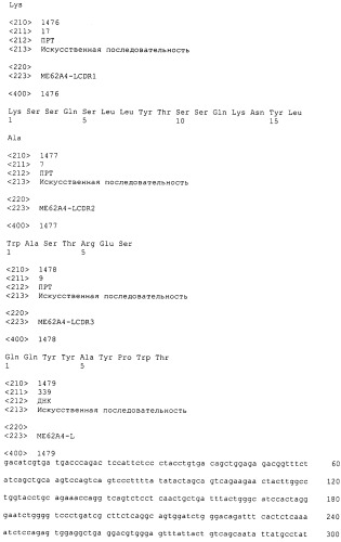 Pscaxcd3, cd19xcd3, c-metxcd3, эндосиалинxcd3, epcamxcd3, igf-1rxcd3 или fap-альфаxcd3 биспецифическое одноцепочечное антитело с межвидовой специфичностью (патент 2547600)