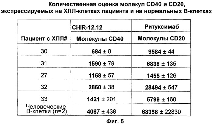 Применение анти-cd40-антител (патент 2442606)