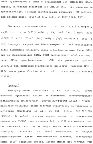 Scfv против egfrviii с улучшенной цитотоксичностью и выходом, иммунотоксины на их основе и способы их применения (патент 2317999)