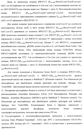 Способ конструирования оперонов, содержащих трансляционно сопряженные гены (патент 2411292)