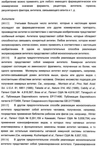 Получение рекомбинантного белка pфно-lg (патент 2458988)