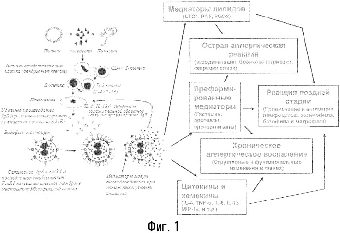 Способы лечения или профилактики аутоиммунных заболеваний с помощью соединений 2,4-пиримидиндиамина (патент 2376992)