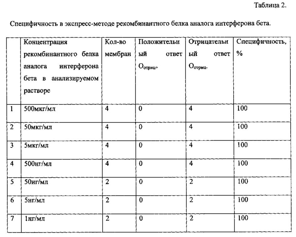 Оптимизированный ген, кодирующий рекомбинантный белок - аналог интерферона бета человека (патент 2614264)