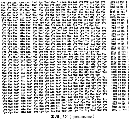 Полипептид для увеличения активности рецептора гуанилатциклазы, фармацевтическая композиция, способ лечения желудочно-кишечного расстройства у пациента, способ повышения активности рецептора гуанилатциклазы у пациента, способ лечения висцеральной боли, способ получения полипептида (варианты), изолированная молекула нуклеиновой кислоты, бактериальный вектор экспрессии и изолированная бактериальная клетка (патент 2433133)