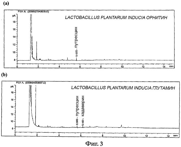 Изолированный штамм микроорганизма lactobacillus plantarum inducia dsm 21379 в качестве пробиотика, усиливающего врожденный иммунитет организма, продукт и композиция, содержащие упомянутый микроорганизм, и применение упомянутого микроорганизма для изготовления лекарственного средства, которое усиливает клеточный иммунитет (патент 2486234)