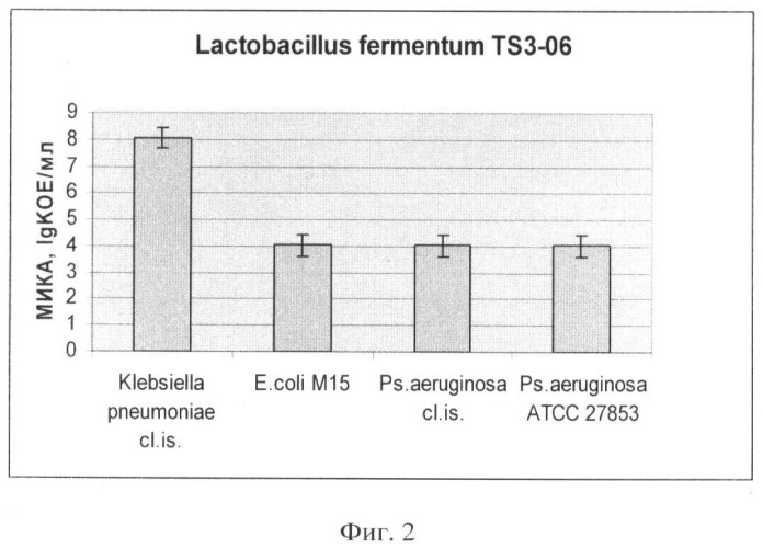 Штамм lactobacillus fermentum ts3-06, используемый для изготовления бактериальных препаратов и производства жидкой молочнокислой закваски в качестве продукта питания лечебно-профилактического назначения (патент 2391395)