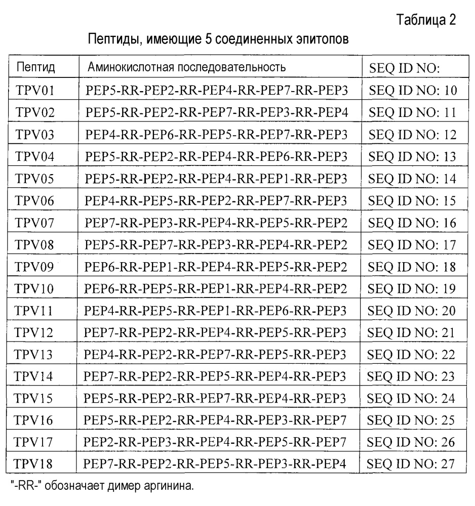 Новый пептид, имеющий 5 соединенных эпитопов ctl (патент 2627175)