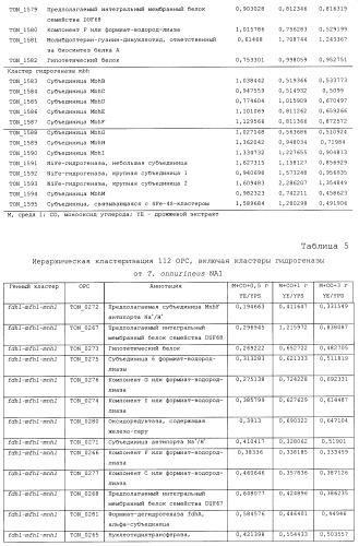 Новая гидрогеназа seq id no:5, очищенная из thermococcus onnurienus na1 с помощью моноokcида углерода, кодирующие ее гены, и способы получения водорода с использованием микроорганизма, имеющего указанные гены (патент 2460789)
