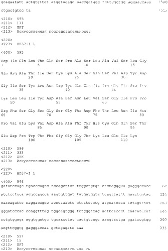 Pscaxcd3, cd19xcd3, c-metxcd3, эндосиалинxcd3, epcamxcd3, igf-1rxcd3 или fap-альфаxcd3 биспецифическое одноцепочечное антитело с межвидовой специфичностью (патент 2547600)