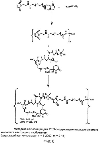 Высокоэффективные конъюгаты и гидрофильные сшивающие агенты (линкеры) (патент 2487877)