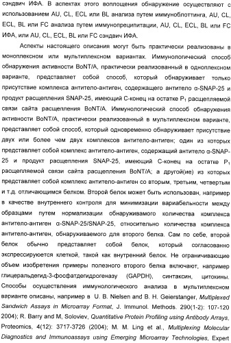 Иммунологические анализы активности ботулинического токсина серотипа а (патент 2491293)