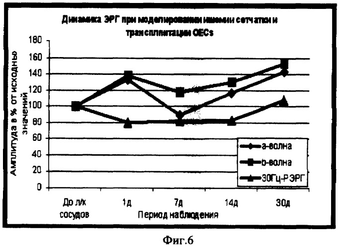 Способ повышения функциональной активности сетчатки при ее патологии различного генеза (патент 2364382)