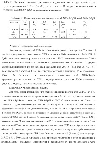 Человеческие антитела против человеческого 4-1вв (cd137) (патент 2376316)