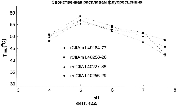 Стабильные иммуногенные композиции антигенов staphylococcus aureus (патент 2570730)