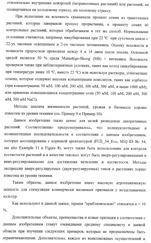 Изолированные полипептиды, кодирующие их полинуклеотиды, экспрессирующие их трансгенные растения и способы их использования (патент 2425151)