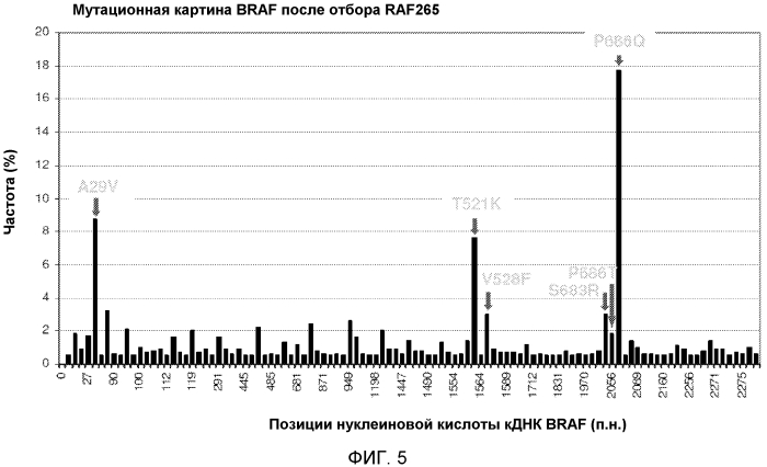 Мутации braf, обеспечивающие резистентность к ингибиторам braf (патент 2571930)