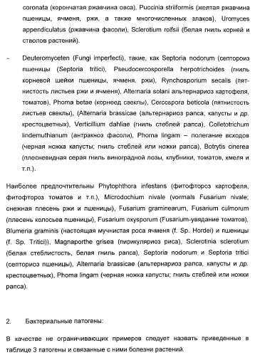 Способ повышения стойкости к стрессовым факторам в растениях (патент 2375452)