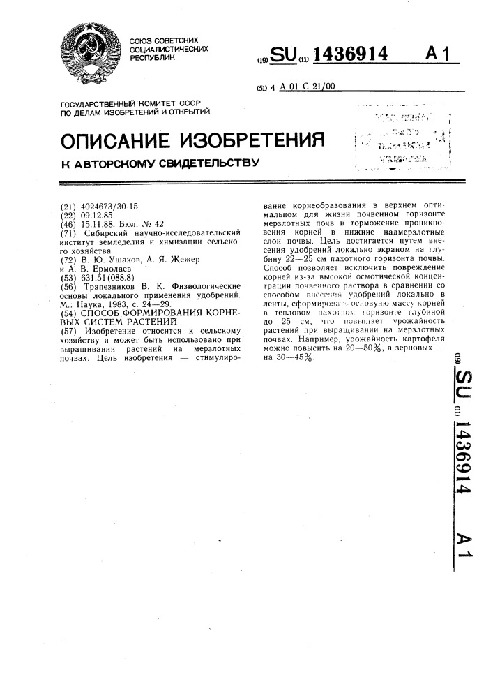 Способ формирования корневых систем растений (патент 1436914)