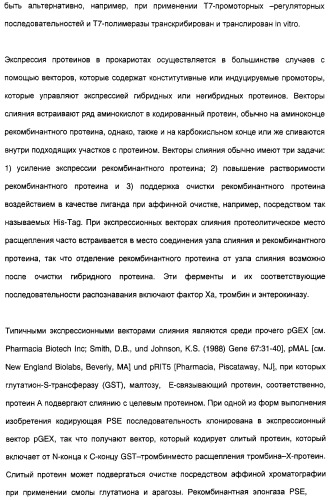 Новый ген элонгазы и способ получения полиненасыщенных кислот жирного ряда (патент 2311457)