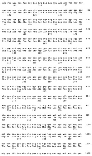 Гены grg23 и grg51, придающие устойчивость к гербицидам (патент 2393225)