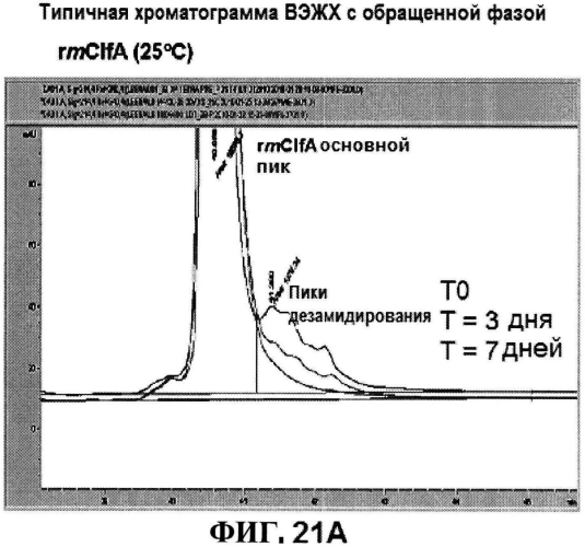 Стабильные иммуногенные композиции антигенов staphylococcus aureus (патент 2570730)