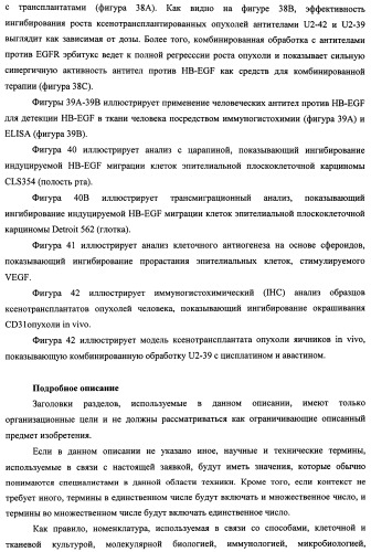 Белки, связывающие антиген фактор роста, подобный гепаринсвязывающему эпидермальному фактору роста (патент 2504551)