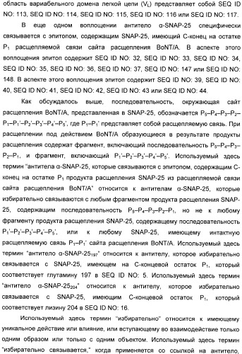 Иммунологические анализы активности ботулинического токсина серотипа а (патент 2491293)