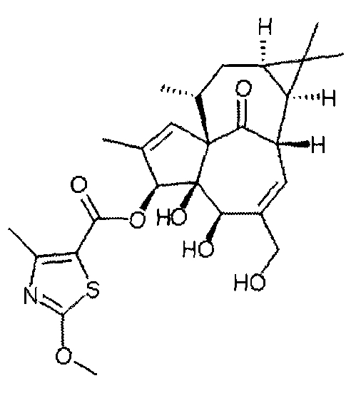 Ингенол-3-ацилаты iii и ингенол-3-карбаматы (патент 2572549)